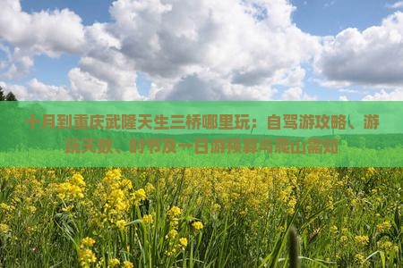十月到重庆武隆天生三桥哪里玩：自驾游攻略、游玩天数、时节及一日游预算与爬山需知