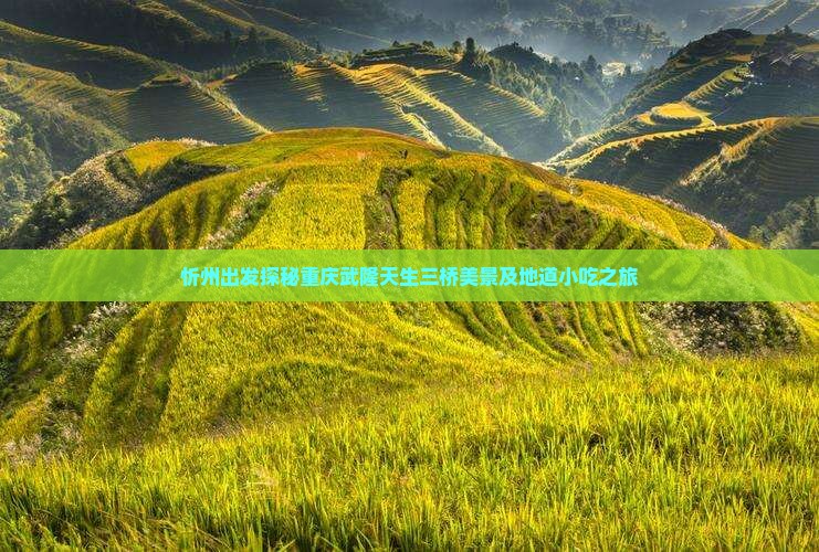 忻州出发探秘重庆武隆天生三桥美景及地道小吃之旅
