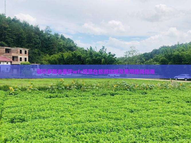 鄂尔多斯去重庆wfc观景台旅游攻略及费用路线指南