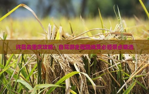 许昌去重庆攻略：自驾游全程路线及必经景点精选