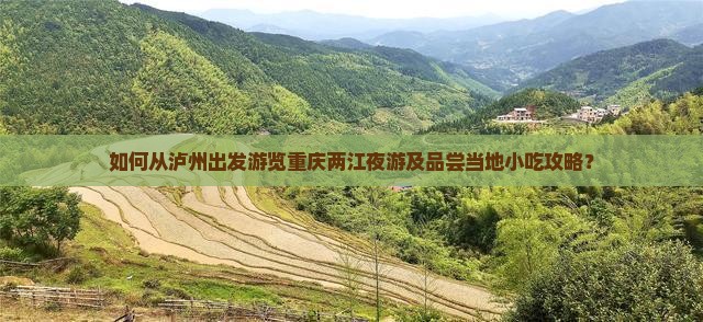 如何从泸州出发游览重庆两江夜游及品尝当地小吃攻略？