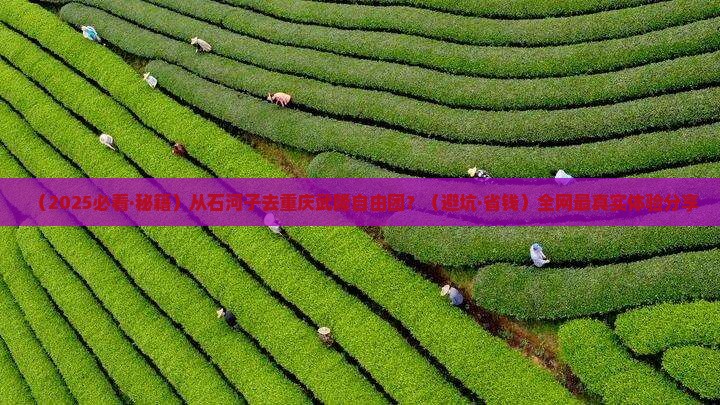 石河子去重庆武隆自由团