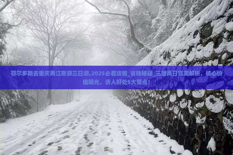 鄂尔多斯去重庆两江夜游三日游