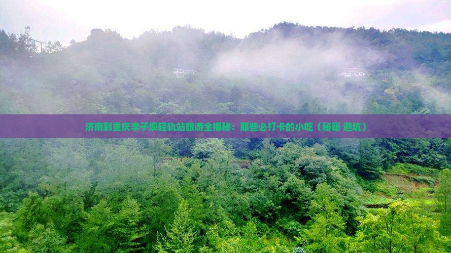 济南到重庆李子坝轻轨站旅游小吃