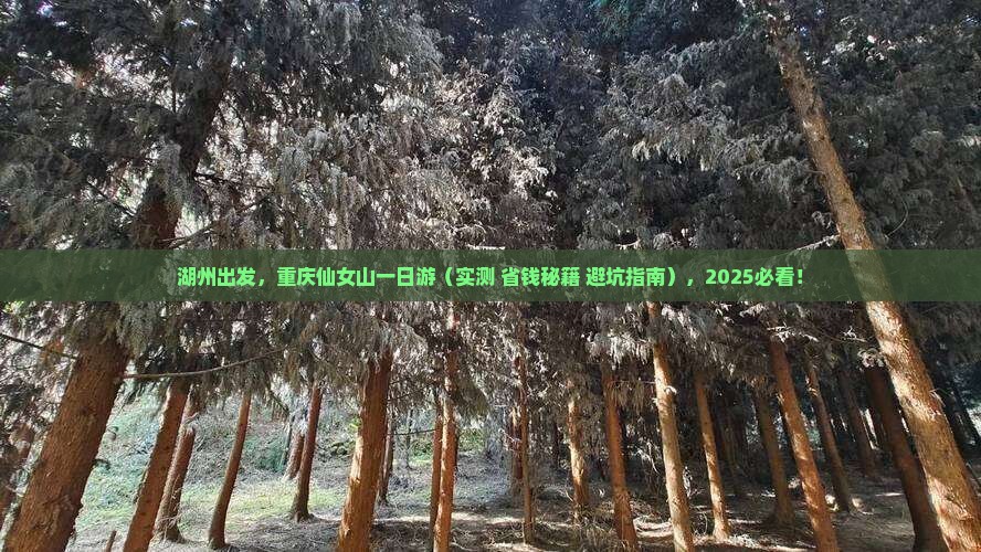 湖州到重庆仙女山一日