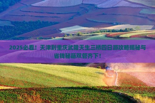 天津到重庆武隆天生三桥四日游