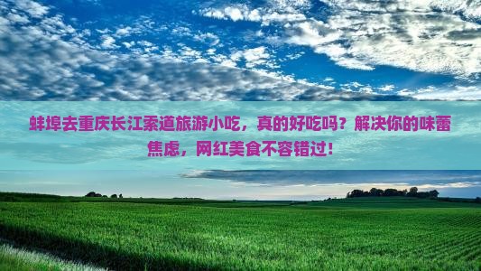 蚌埠去重庆长江索道旅游小吃