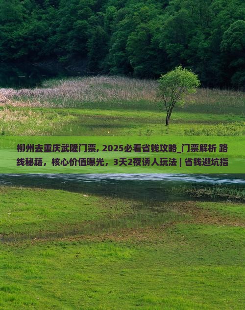 柳州去重庆武隆门票