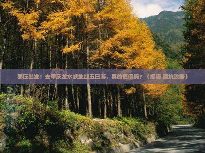 枣庄去重庆龙水峡地缝五日游