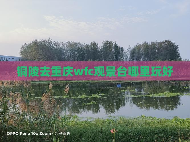 铜陵去重庆wfc观景台哪里玩