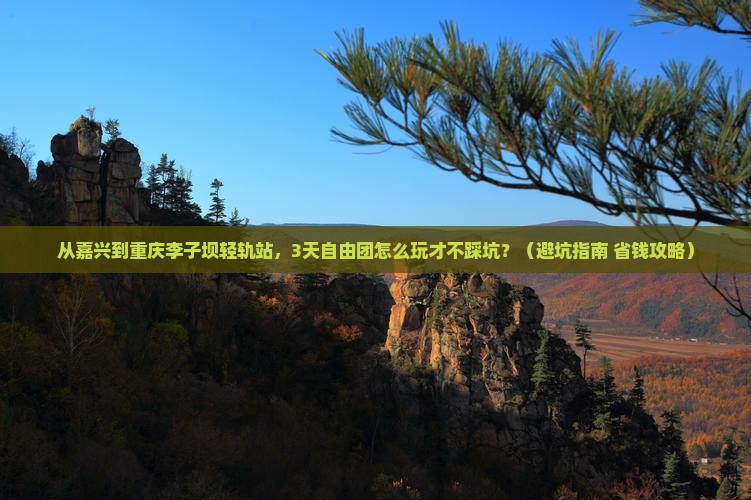 嘉兴到重庆李子坝轻轨站自由团