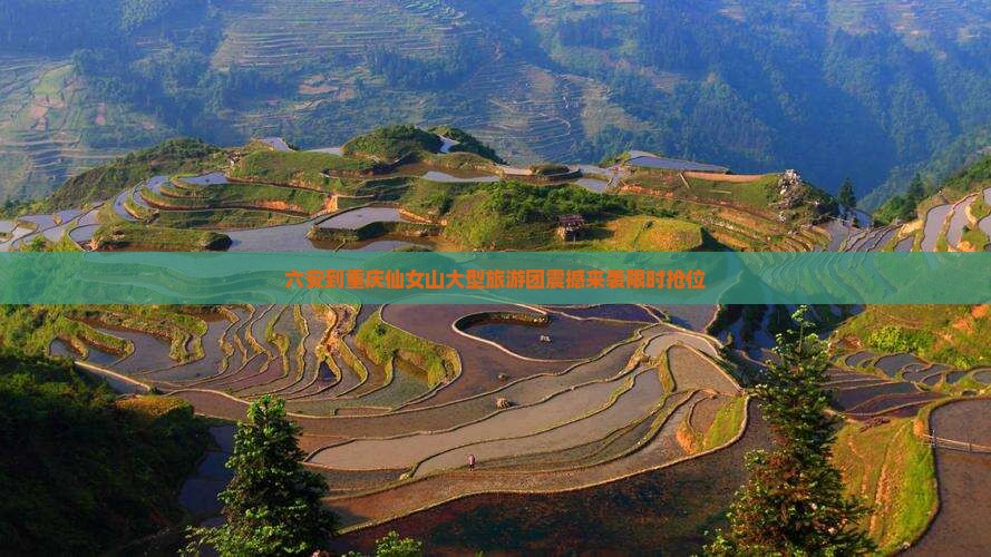 六安到重庆仙女山大型旅游团