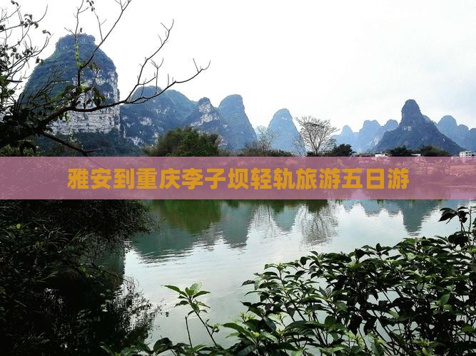 雅安到重庆李子坝轻轨站五日游