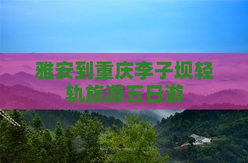 雅安到重庆李子坝轻轨站五日游