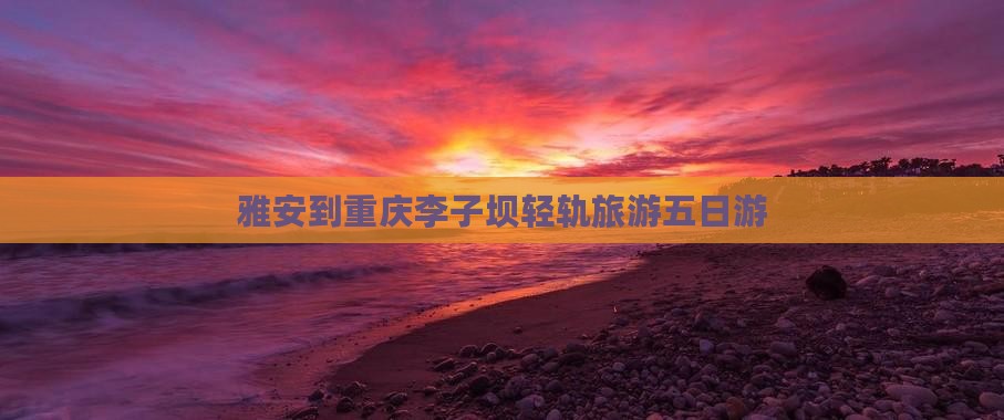 雅安到重庆李子坝轻轨站五日游