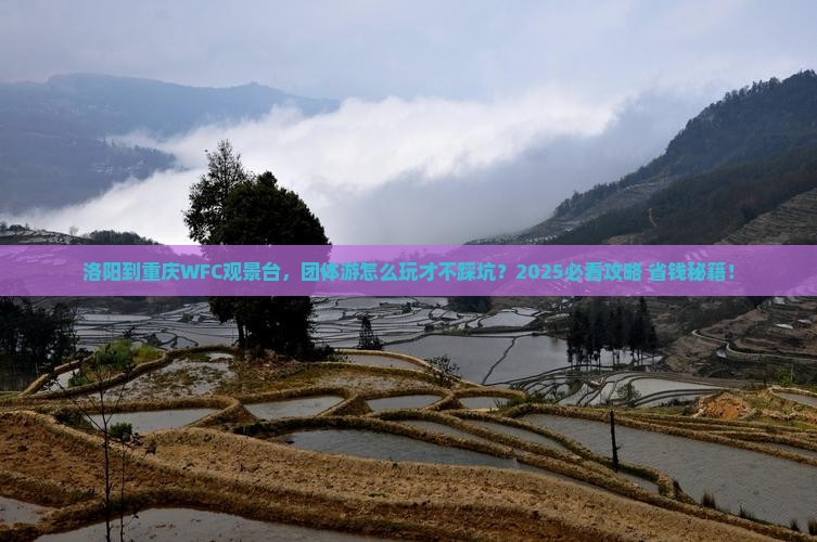 洛阳到重庆wfc观景台团体旅游