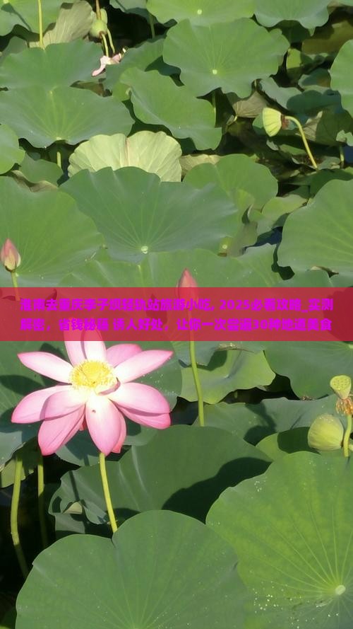淮南去重庆李子坝轻轨站旅游小吃