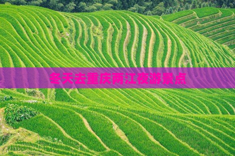 冬天去重庆两江夜游景点