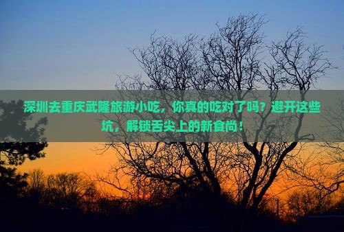 深圳去重庆武隆旅游小吃