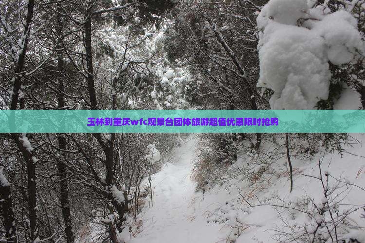 玉林到重庆wfc观景台团体旅游