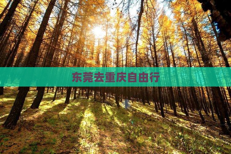 东莞去重庆自由行