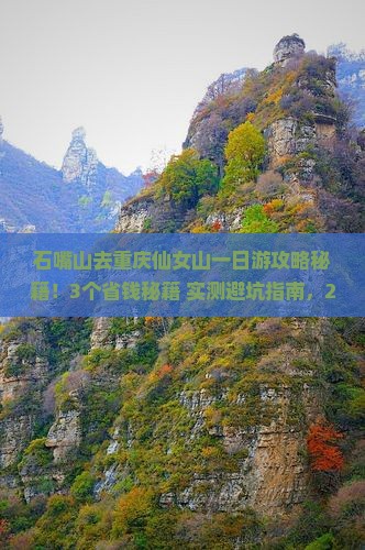 石嘴山去重庆仙女山一日