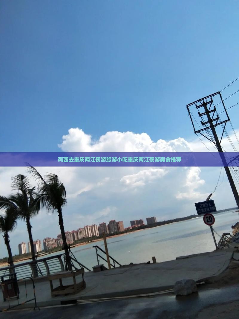 鸡西去重庆两江夜游旅游小吃