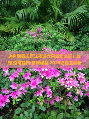 达州到重庆两江夜游六日游
