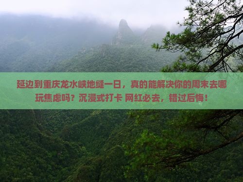 延边到重庆龙水峡地缝一日
