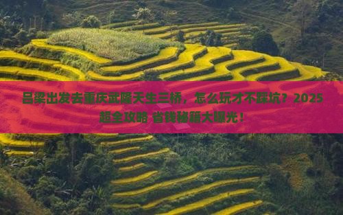 吕梁到重庆武隆天生三桥攻略