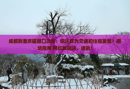 成都到重庆磁器口攻略