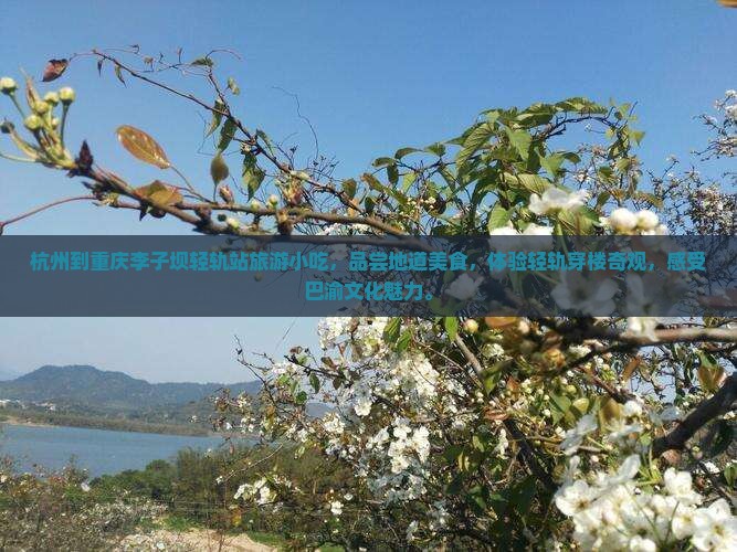 杭州到重庆李子坝轻轨站旅游小吃