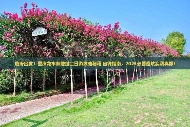 临沂到重庆龙水峡地缝二日游