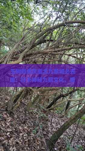 玉树到重庆蚩尤九黎城必去地