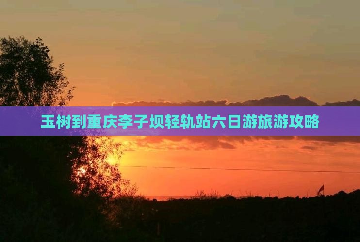 玉树到重庆李子坝轻轨站六日游