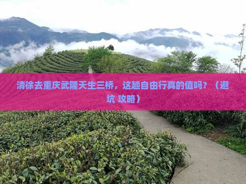 清徐去重庆武隆天生三桥自由行