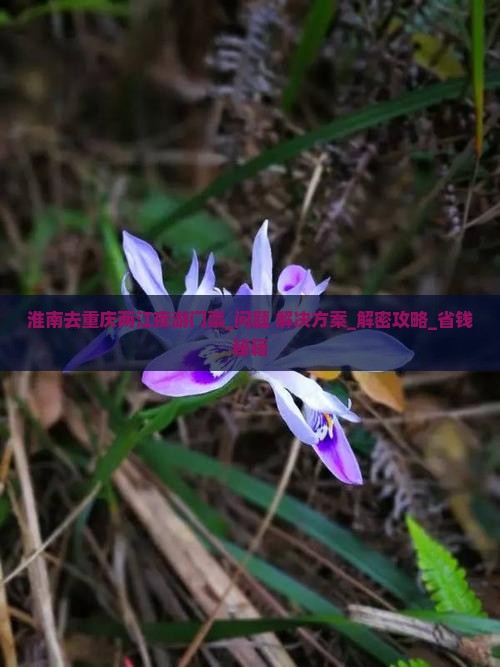 淮南去重庆两江夜游门票