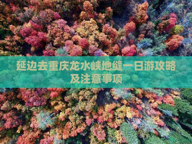 延边去重庆龙水峡地缝一日