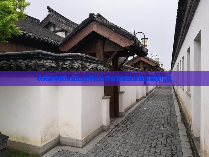 秋天到重庆仙女山旅行社秋季自驾游攻略及旅游团信息