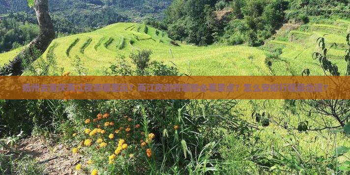 扬州去重庆两江夜游哪里玩？两江夜游有哪些必看景点？怎么安排行程最合适？