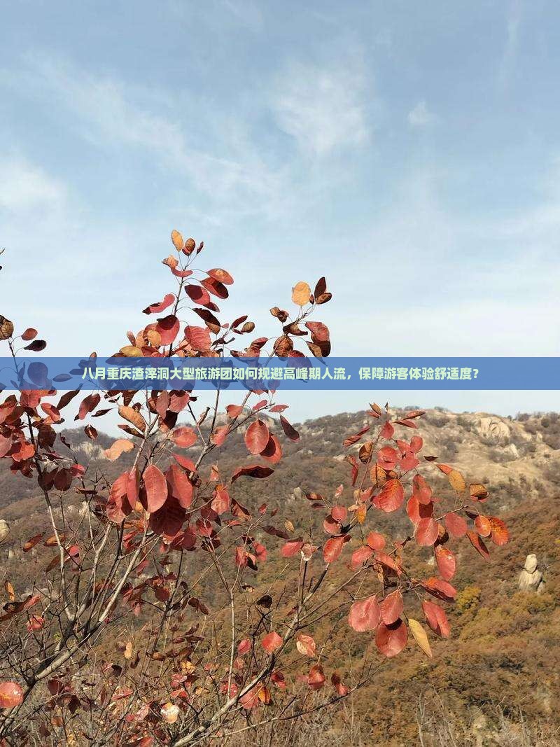 八月重庆渣滓洞大型旅游团如何规避高峰期人流，保障游客体验舒适度？