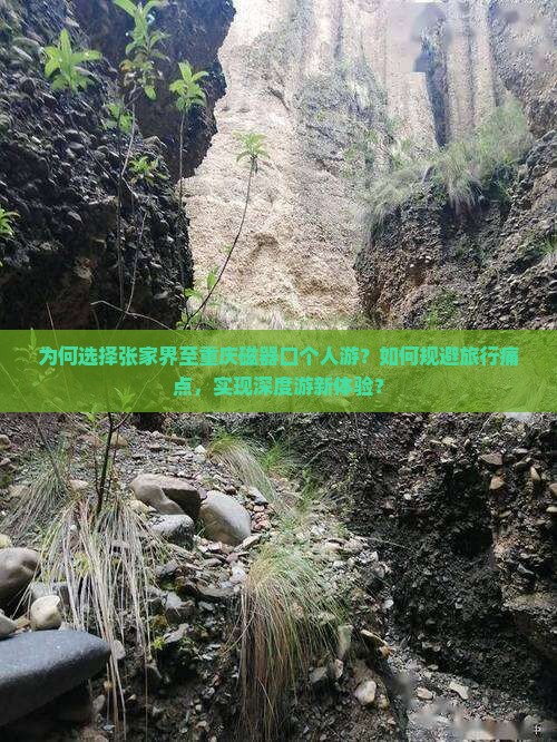 为何选择张家界至重庆磁器口个人游？如何规避旅行痛点，实现深度游新体验？