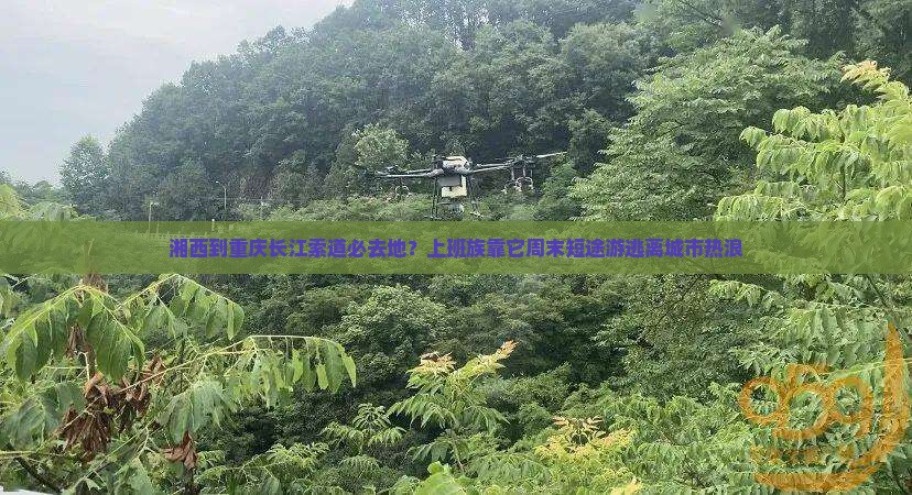 湘西到重庆长江索道必去地？上班族靠它周末短途游逃离城市热浪