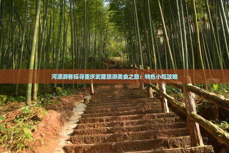 河源游客探寻重庆武隆旅游美食之旅：特色小吃攻略