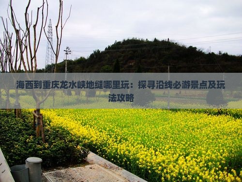 海西到重庆龙水峡地缝哪里玩：探寻沿线必游景点及玩法攻略