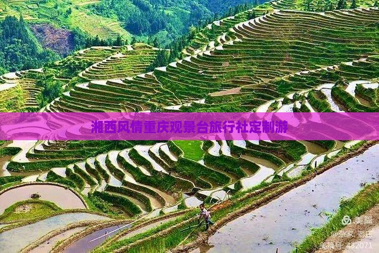 湘西风情重庆观景台旅行社定制游