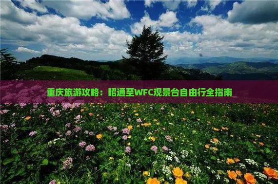 重庆旅游攻略：昭通至WFC观景台自由行全指南