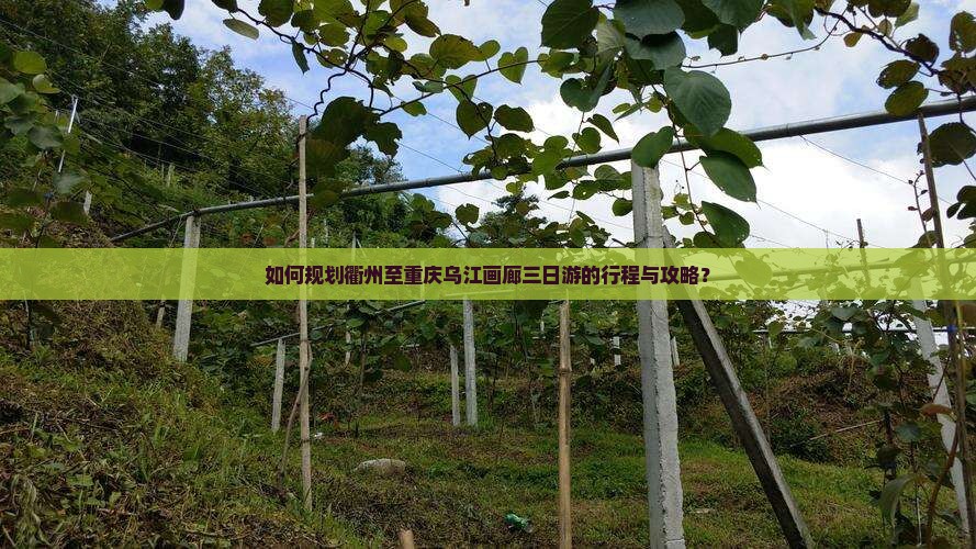 如何规划衢州至重庆乌江画廊三日游的行程与攻略？