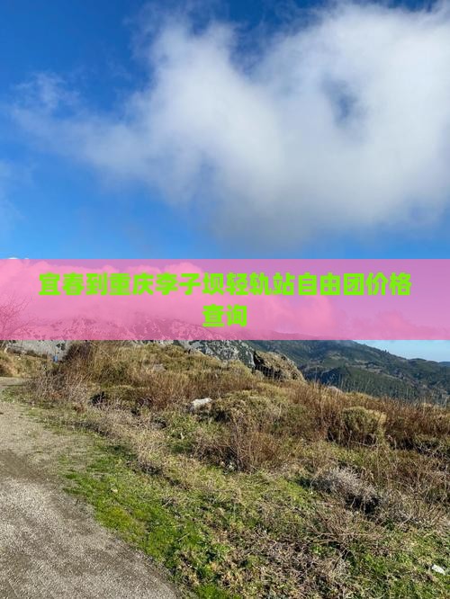 宜春到重庆李子坝轻轨站自由团价格查询
