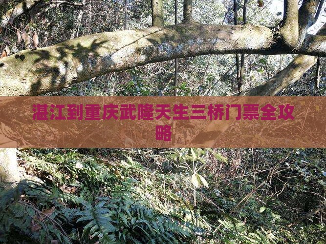 湛江到重庆武隆天生三桥门票全攻略